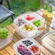 Divided Plastic Food Container